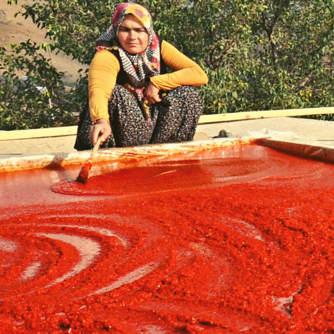 Dam Üstünde Kırmızı Salça