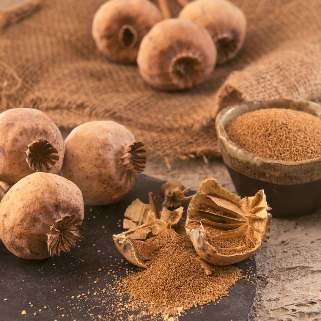 Afiyetli Sırdaş Haşhaş