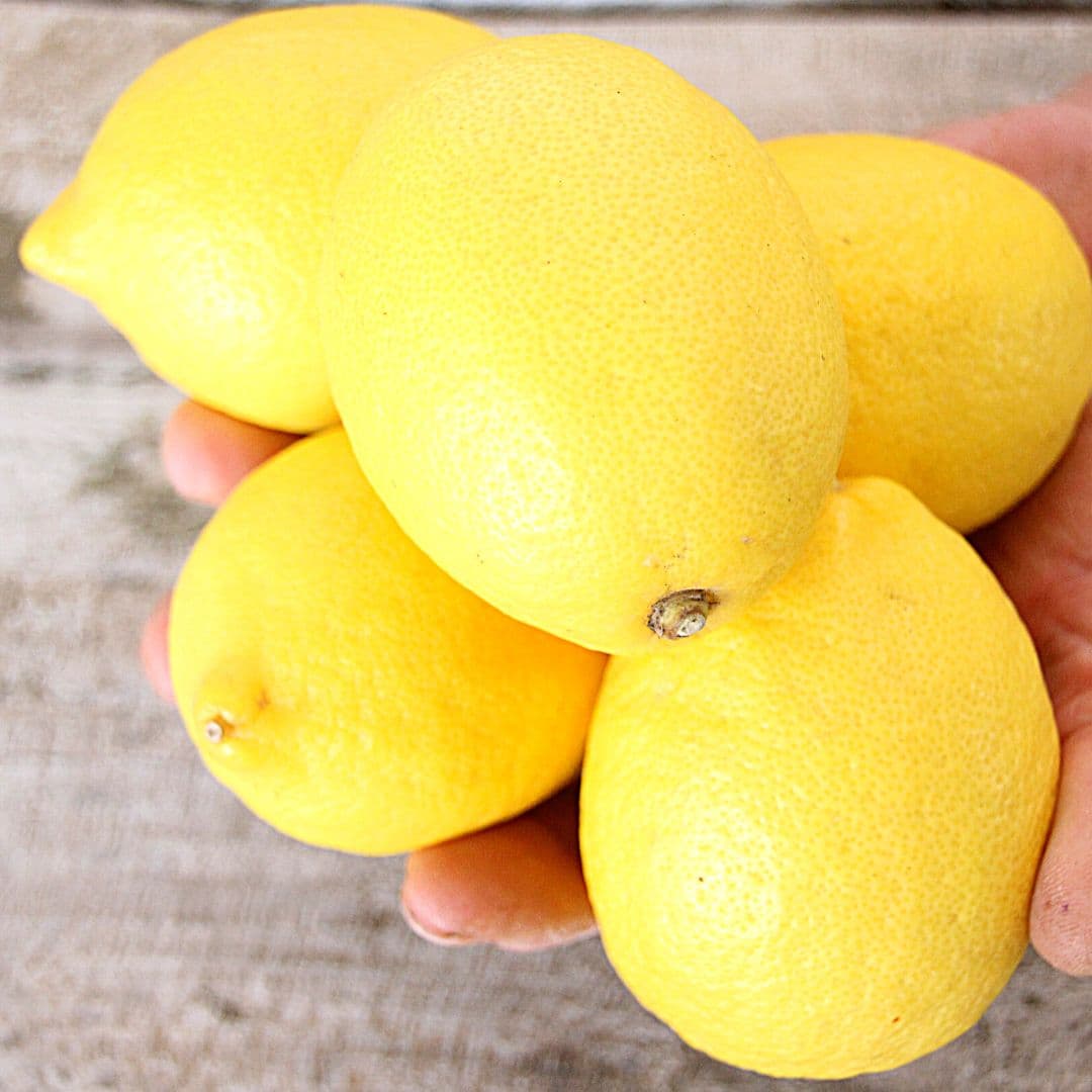 Toprağın Sarı Tonu Lamas Limonu