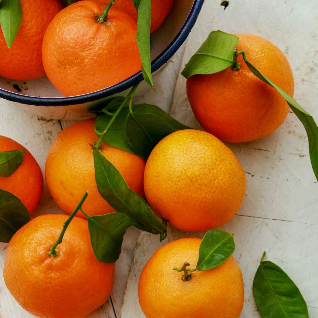 Cüce Mandalina Satsuma